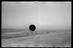 0526_Open countryside , possibly Dawson County