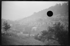 0712_Purslove, West Virginia