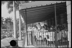 0794_Probably Miami Beach , Florida