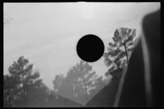 1133_Spoiled negative