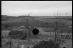 1199_Killed negative awaiting caption  and to be defined_