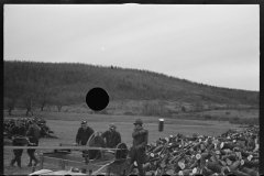 1201_Mobile logging gang with circular saw . Location unknown .