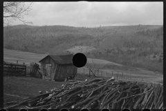 1217_Wood  cut into long stakes and neatly stacked,  location unknown .
