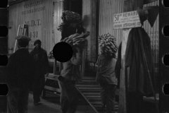 2767_Unloading Bananas. on the dock, Mobile, Alabama