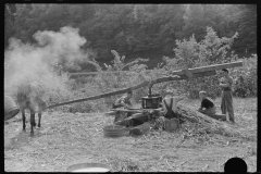 3625_Pressing juice from sugarcane