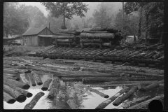 3660_Logs for sawmill, Erwin, West Virginia