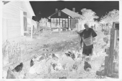 0046_Resettlement  farmer's wife with hens