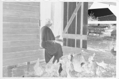 0050_Resettlement  farmer's wife with hens