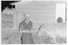 0051_Resettlement farmer with cow, Plaquemines Parish
