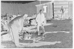 0125_Chopping wood for the schoolteacher, Shenandoah