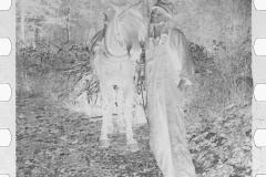 0138_ Man from Nicholson Hollow with  horse, Shenandoah National Park, Virginia