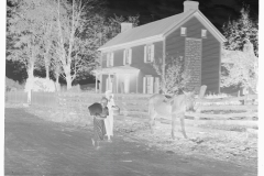 0140_Women passing Mule at Nethers , Virginia