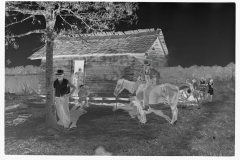 0254_Strawberry pickers, Hammond, Louisiana