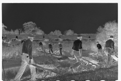 0275_Levee workers, Plaquemines Parish, Louisiana