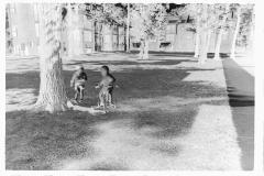 0315_ Children in garden , Washington Sanitary Housing Corporation