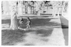 0315_ Children in garden , Washington Sanitary Housing Corporation