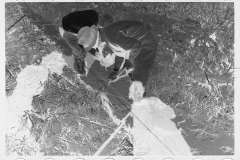 0346_Transient worker clearing land, Prince George's County, Maryland]