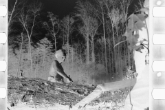 0348_Transient worker clearing land, Prince George's County, Maryland]