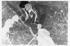 0349_Transient workers clearing land, Prince George's County, Maryland]