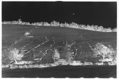 0383_Soil erosion, gullied, hillside  Garrett County, Maryland