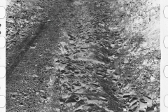 0394_Rough ungraded road, Garrett County, Maryland