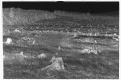 0402_Characteristic topography, Garrett County, Maryland