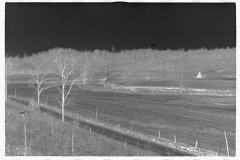 0448_ Abandoned farmland, Brown County, Indiana