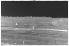 0449_ Abandoned farmland, Brown County, Indiana