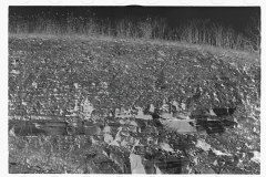 0450_ Abandoned farmland, Brown County, Indiana