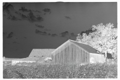 0594_Sharecropper barns , Lauderdale County , Mississippi