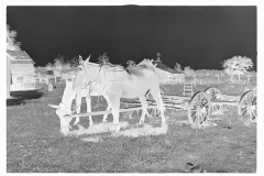 0597_Mule cart ,probably Lee County, Mississippi