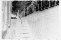 0669_Stairway from street to basement dwelling, probably Washington D.C.