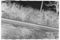 0729_Probably spoiled negative ,  due to film loading , random view of railroad  track