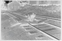 0745_Track worker cutting a steel section with a welding torch , unknown location