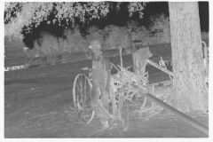 0808_Sharecropper's yard , Hale County , Alabama