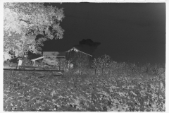 0817_Sharecropper's field and buildings  Hale County , Alabama