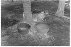 0819_unidentified animal and feeding bowls , Alabama