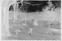 0852_Children playing on rudimentary rope swing,