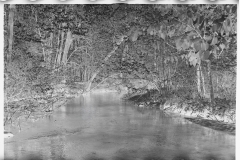 0885_Tranquil river scene , possibly Au  Sable river, Michigan