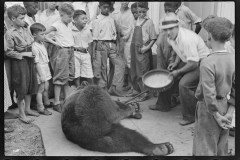 1030_Disturbing street scene with a bear , New Orleans, Louisiana