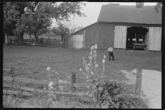 1073_ Farm  ( probably wheat ) central Ohio