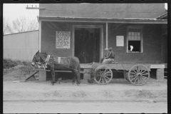 1107_Black-Americans with mule cart ,