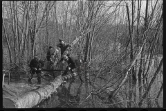 1152_Riverside tree management ,possibly New Hampshire