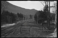 1165_Railtrack and telegraph at foot of extensive  coniferous  forest , unknown location .