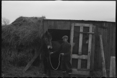 1196_Probable subsistence farmer and mule . Location unknown