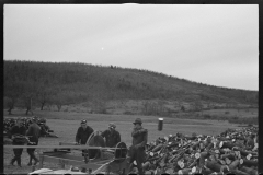 1201_Mobile logging gang with circular saw . Location unknown .