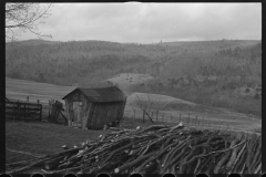 1217_Wood  cut into long stakes and neatly stacked,  location unknown .