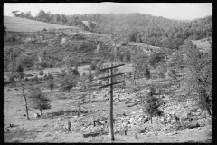 1240_Possibly former mining terrain ,  unknown location .