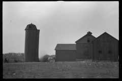 1263__Farmer  horse drawn cart , Tomkins County , New York