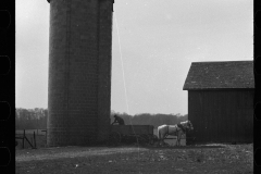 1266_Farmer  horse drawn cart , Anton Weber's Farm,  Tomkins County , New York